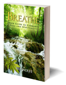 Book Cover for Breathe by Bre Wolfe
